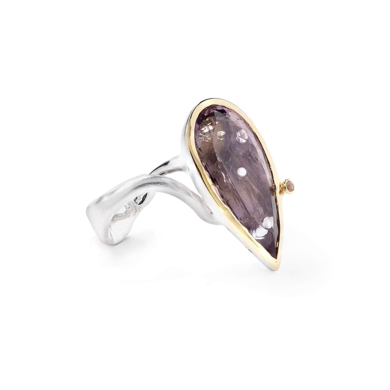 German Kabirski Afure Ametrine and Sapphire Ring